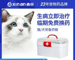 如何治疗宠物感冒（以猫被感冒为例）