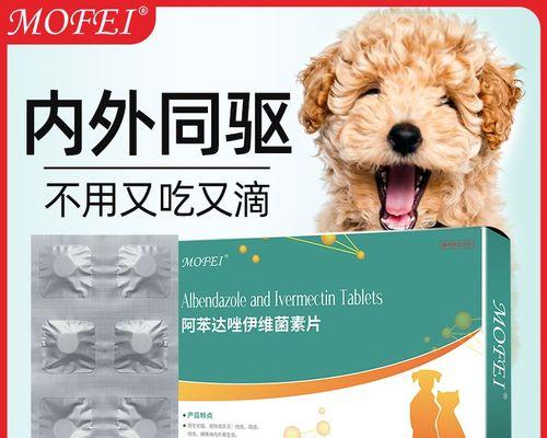 猫皮肤伤如何处理（宠物的皮肤护理方法）