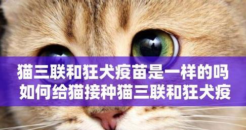 为什么要给宠物打猫三联疫苗（宠物健康必备的防护措施）