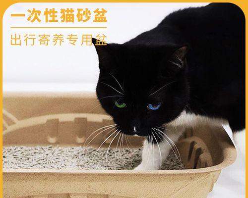 小心（宠物猫咪误食猫砂的原因和解决方法）
