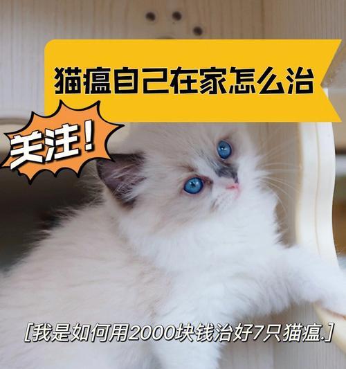 猫瘟是否能传染给狗狗（探究猫瘟与狗狗间的传染性）