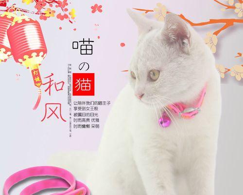 猫妈妈用舌头舔小猫，温情无限（以猫为师）
