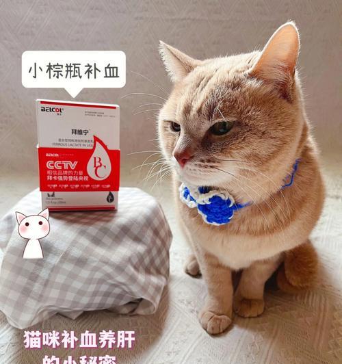 探究猫咪白细胞低的原因（以宠物为主）