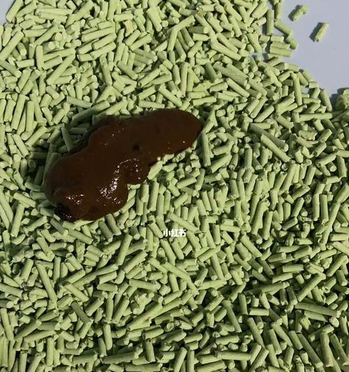 猫咪拉肚子的原因及应对方法（以宠物为主）
