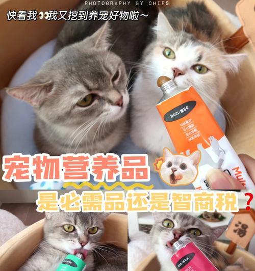 猫咪拉稀呕吐该吃什么药（宠物治疗）