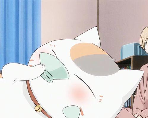 猫咪老师和夏目H（宠物不只是玩具）