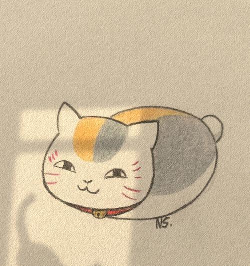 猫咪老师乱拉屎怎么办（以宠物为主）