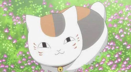 揭秘猫咪老师喜欢攻击人的原因（探究猫咪老师的攻击行为及应对方法）