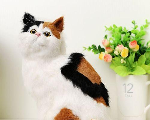 为什么猫咪老是蹲着（探讨猫咪蹲着的原因及其健康问题）