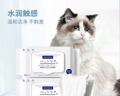如何清洗猫咪泪痕（宠物爱护必备）