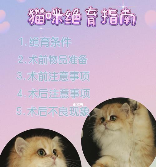 宠物猫咪乱尿的解决方法（揭秘猫咪乱尿的根源与有效解决方法）