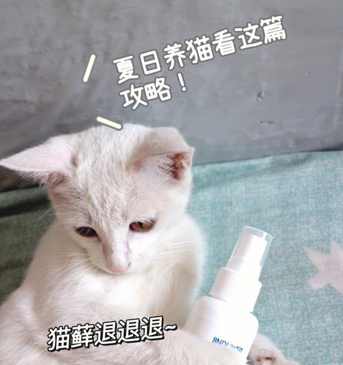 猫咪猫癣消毒液的使用及作用（以宠物为主）