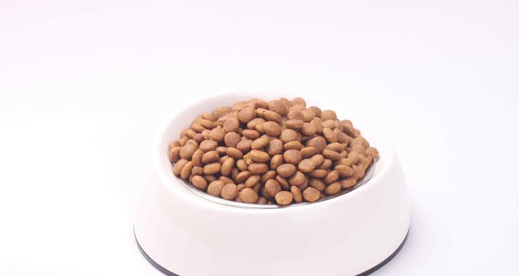 猫咪奶糕和猫粮的区别（哪种更适合你的猫咪）