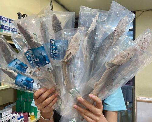 探秘猫咪内脏功能分布（从消化到呼吸）