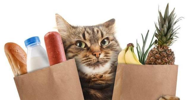 猫咪能否吃生蒜？——科学解析宠物饮食