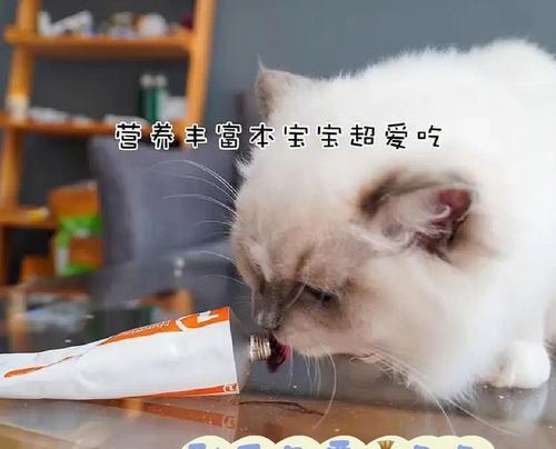 猫咪能否吃生蒜？——科学解析宠物饮食