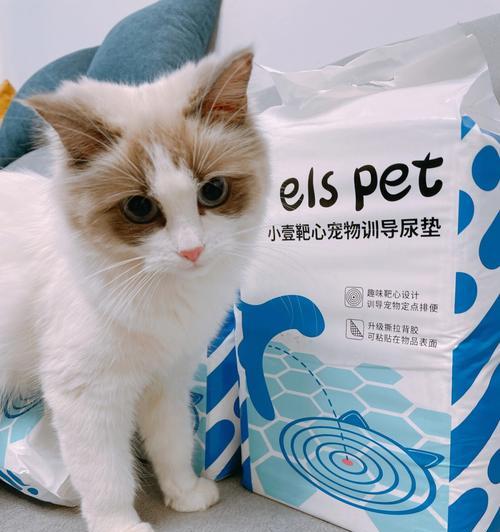猫咪尿白色粘液的原因与治疗方法（探究猫咪白色粘液尿的成因）