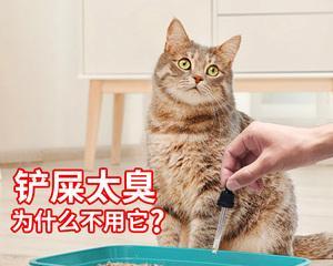 猫咪尿白色粘液的原因与治疗方法（探究猫咪白色粘液尿的成因）