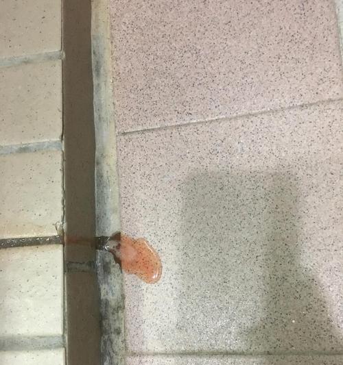 解读猫咪排尿带血水的症状和治疗方法（揭秘猫咪尿血的成因及应对措施）