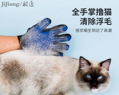 猫咪清洁用品大解析（宠物健康从日常细节开始）