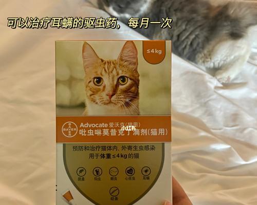 猫咪驱虫需注意的耳螨问题（宠物健康不能忽略的细节）