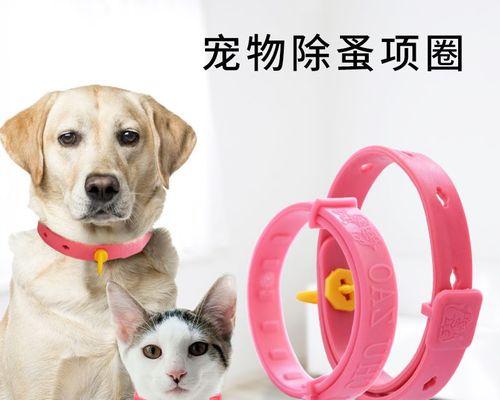 猫咪驱虫，内服好还是外用好（探究宠物驱虫的最佳方式）