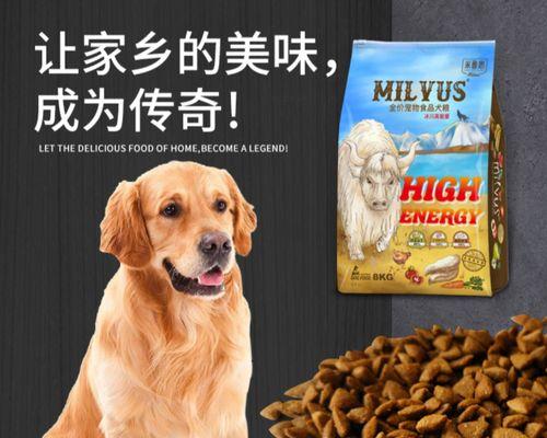如何掌握一只狗狗一个月的饮食量（了解宠物的需求）