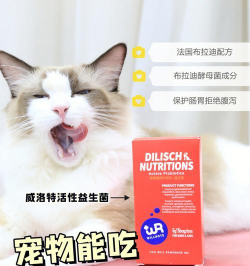 关于猫咪益生菌的食用方式（宠物健康的关键——一月吃什么）