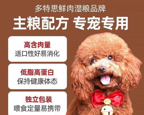 宠物泰迪感冒吃什么药好（以一个月为例）
