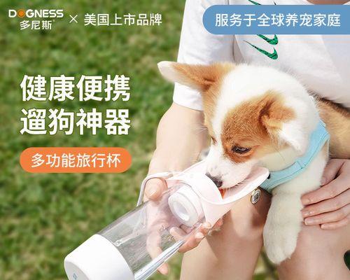 如何让你的小狗每天喝足够的水（宠物喝水的重要性与科学喂养方法）