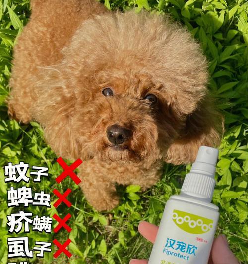 如何为宠物小狗正确打虫（一月龄小狗需要使用什么药物进行驱虫）