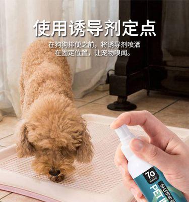 养小狗，一个月没便便怎么办（宠物护理小贴士）