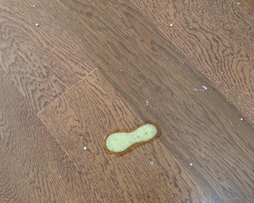 如何应对宠物小猫一个月呕吐情况（建议及方法）