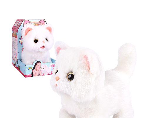 黑猫和布偶猫的宠物日常（一只黑猫和一只布偶猫如何陪伴主人生活）