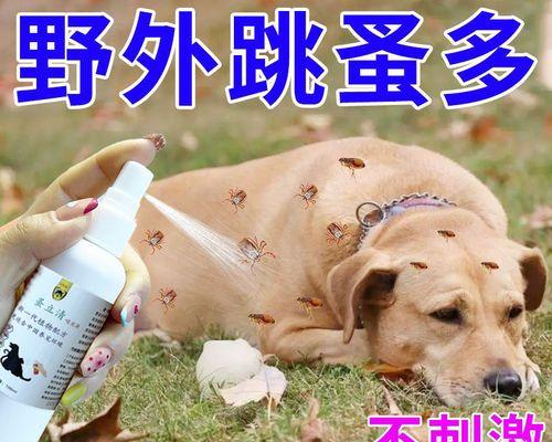 一周一次，让爱宠远离寄生虫（宠物体外驱虫方案分享）