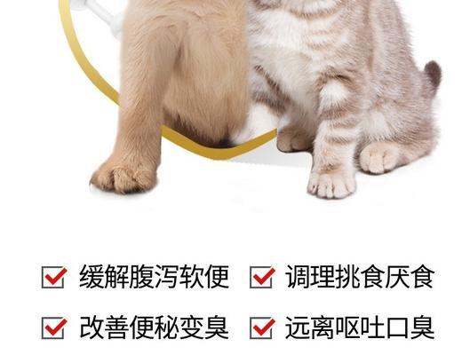 让宠物更健康，益生菌喂养不容错过（以猫咪为例）