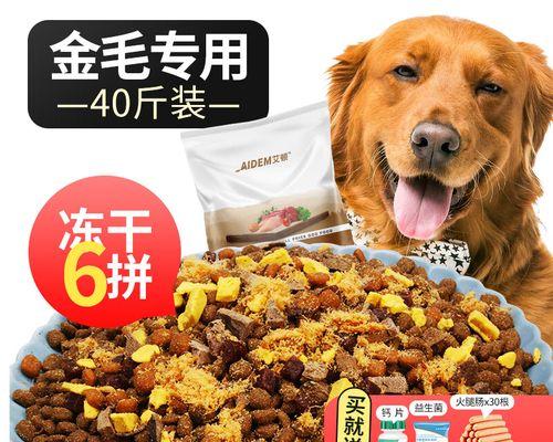 4个月大狗狗的健康饮食（以宠物为主）