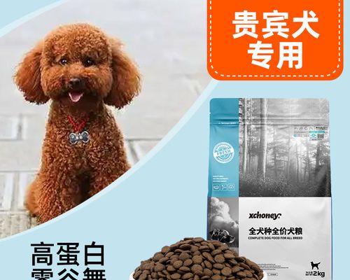 六岁泰迪狗的最佳狗粮选择（以宠物为主）