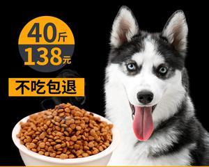 以阿拉成年吃什么狗粮好（宠物食品市场的多样化选择及成犬营养需求解析）