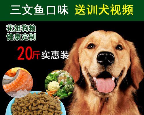 宠物狗健康生活的关键——选择合适的狗粮（宠物狗健康生活的关键——选择合适的狗粮）