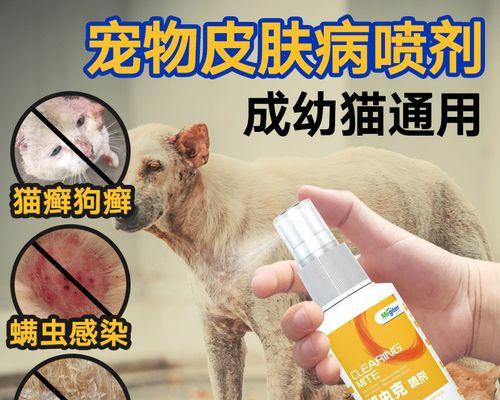 比熊狗起癣的原因及治疗方法（揭秘比熊狗起癣的真相）