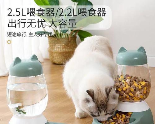 成年泰迪的狗粮喂养指南（以宠物为主）