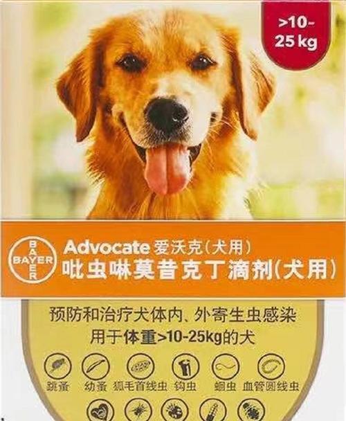 如何正确给宠物狗狗使用虫药（关于虫药的注意事项和用法）