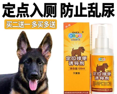 遇到宠物吐了该怎么办（以德牧小狗为例）