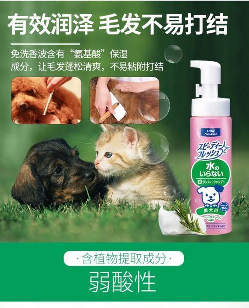 猫咪为什么会吐绿色泡沫（揭秘猫咪吐绿色泡沫的原因和预防方法）