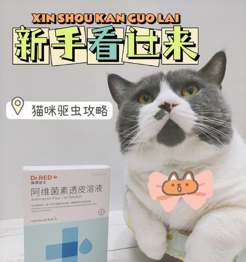 如何科学驱除猫咪身上的寄生虫（宠物保健）