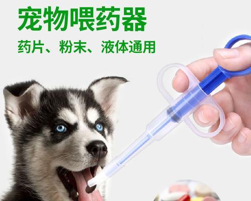 猫咪喂糖浆全攻略（以宠物为主）