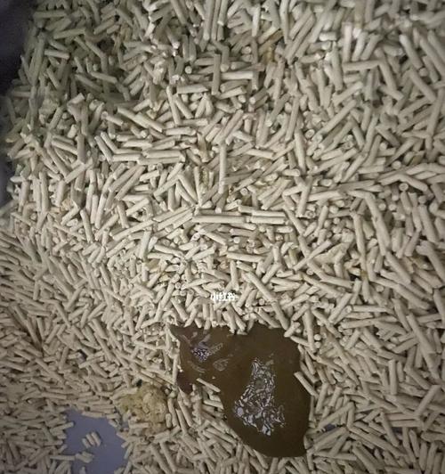 猫咪的健康离不开正常的便便排泄（从便便看猫咪的健康状态）