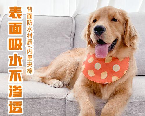 如何摸小狗（掌握正确的摸狗技巧）