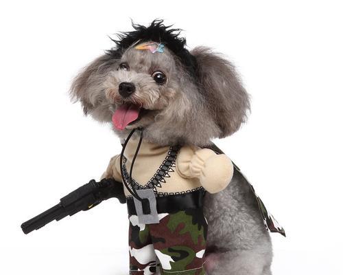 以膜犬，魅力非凡的宠物（挑战传统）